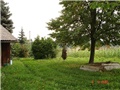 Vikednica - Sv.I.Zelina